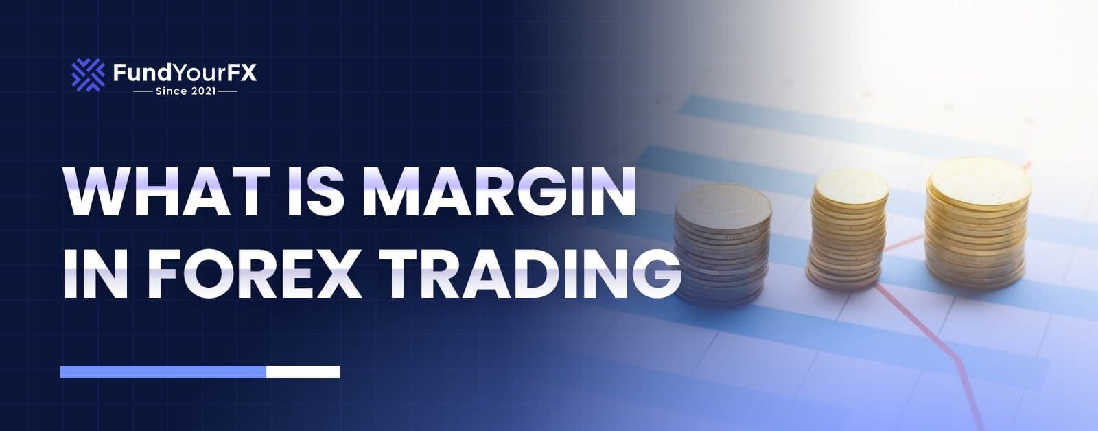What is Margin in Forex Trading? Learn the Basics of Margin and Leverage