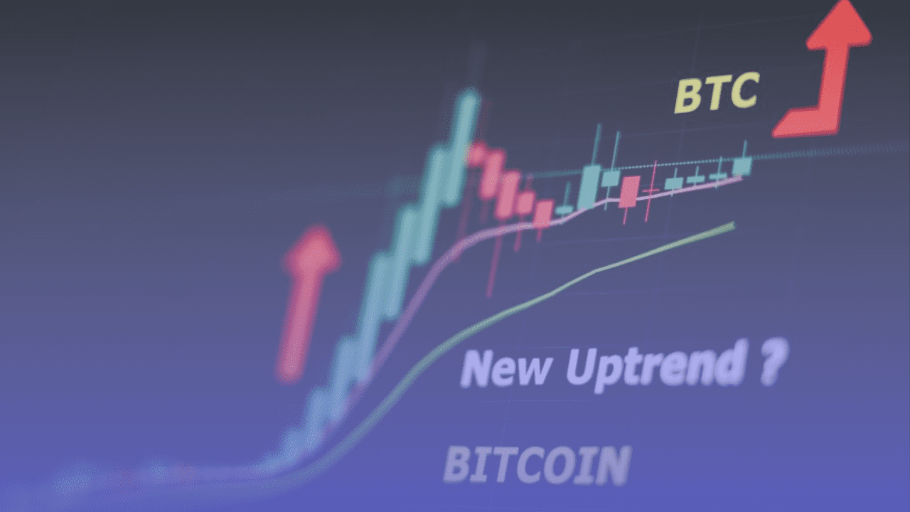BTC stock investment graph with candlesticks. trend trading